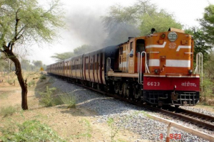 Životinja može uzrokovati odlazak iz željezničkih tračnica u indiji Životinja može uzrokovati odlazak iz željezničkih tračnica u indiji